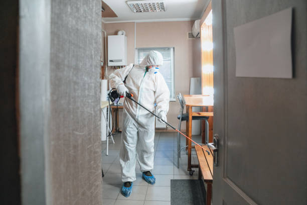 Best Post-Remediation Verification Testing  in Wayne, WV