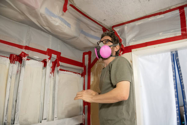 Reliable Wayne, WV Mold Removal Solutions