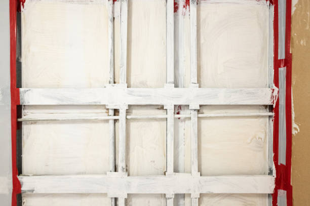 Best Commercial Mold Inspection  in Wayne, WV