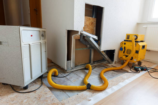 Biohazard Mold Removal in Wayne, WV