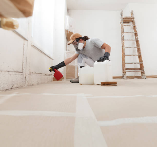 Best Air Quality Testing for Mold Spores  in Wayne, WV